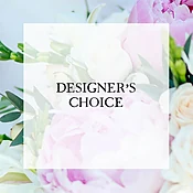 Designer's Choice - $60.00