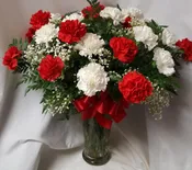 2 DOZEN RED AND WHITE...(E)