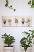 Carter + Rose, Horizontal Wall Planter