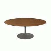 Saarinen Coffee Table, Oval