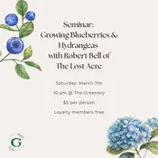 Growing Blueberries &amp;amp; Hydrangeas