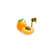 Apricot Kernel Oil