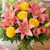 Summer Sun Blooms
