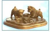 Norfolk Terrier - Discovers a Frog