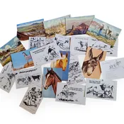 Larsen Postcards Collection