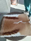 Cushion Covers