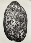 Foundations of Printmaking: Pronto-Plate Lithography