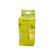 Citron & Honey Pocket Pack