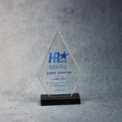 Acrylic Diamond On Ebony Base