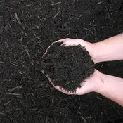 Premium Bark Mulch