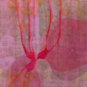 Dhima • Kuzana Ogg — Historic Santa Fe Foundation