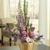 Purple & Pink Delight