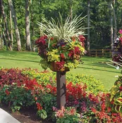 20 Inch Double Tier Basket Planter & Liner Set