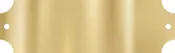 Brass Plate, 3.25" x 1", with screw holes
