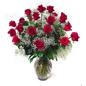 Two Dozen Long Stem Red Roses