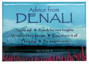 Advice from Denali Magnet