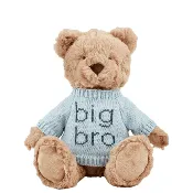 Big Bro Stuffed Animal