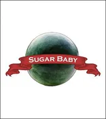 Melon Seed. Organic Sugar Baby Watermelon. Heirloom. Pkt.
