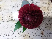 Burgundy &amp;amp; White Flower Boutonniere