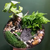 Terrarium Bar Package — The Green Room