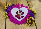 Pet Paw Print