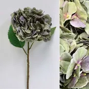 Antique Plum Hydrangea Stem