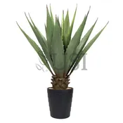 Agave Succulent Plant x19 Leaves Potted, 38in, Green