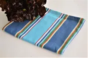 Kitchen Towel Blue Striped