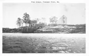Pleasant Point Maine Flea Island Vintage Postcard AA112437
