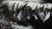 Black wet look vinyl - $14.50/yd