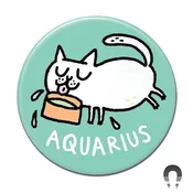 Aquarius Magnet