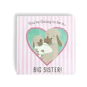 Big Sister Book