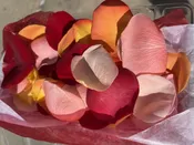 FRESH MIXED COLOR ROSE PETALS