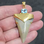 18K Gold Plated Cap Extinct Great White Tooth Necklace Pendant – EGWGLDCAP-6