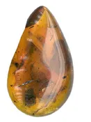 Amber Fragrance Oil