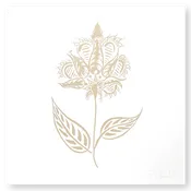 Bengal Botanical No. 2 in Tan on Soft White