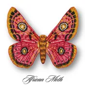 African Moth Butterfly
