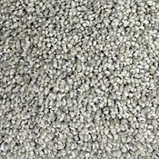 B Carpet by MJS | Soft Cut Pile | CarpetNow Texas
