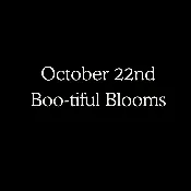 October 22nd Flower Class