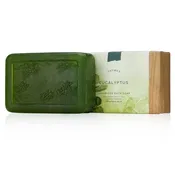 Eucalyptus Collection