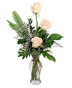 CAPTIVATING CREAM ROSES