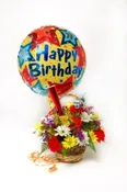 Birthday Celebration