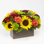 Happy Harvest Garden™ by FTD