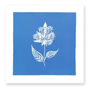 Bengal Botanical No. 2 on Blue