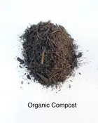Organic Compost