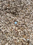 Certified Playground Chips