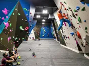 26oz Modular Carpet Top Sheet
