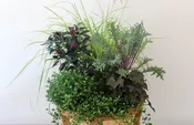 Fall Planter by Studley’s