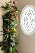 Compact Living Wall Kit