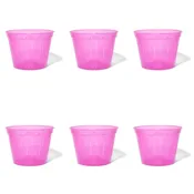 10 inch Slotted Orchid Pot (6 Pack)